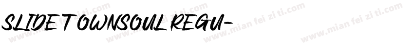 Slide T ownsoul Regu字体转换